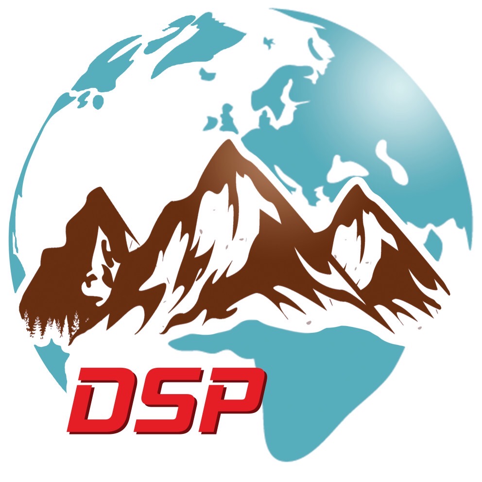 DSP Logo